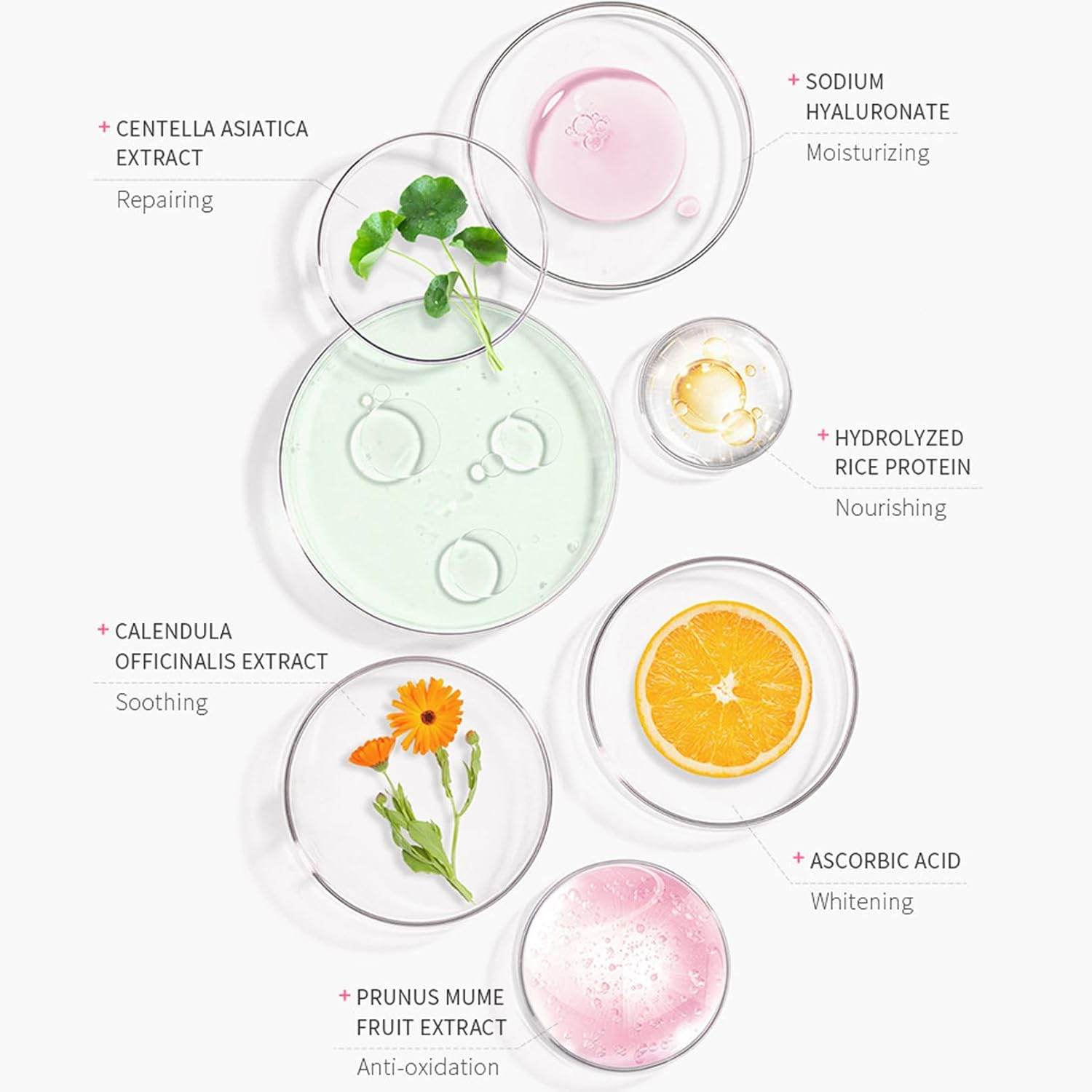 Laikou Japan Sakura Moisture Sunscreen SPF 50PA+++ - OthoiMart