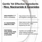 Anua 7 Rice Ceramide Hydrating Barrier Serum 50ml- Othoimart-Beauty-shop-3