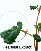 Mini Anua Heartleaf Pore Control Cleansing Oil 20ml - OthoiMart