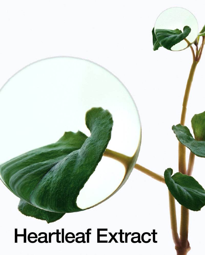 Mini Anua Heartleaf Pore Control Cleansing Oil 20ml - OthoiMart