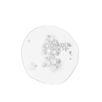 The Ordinary Balancing & Clarifying Serum - OthoiMart