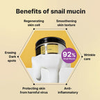 COMBO - COSRX Advanced Snail 92 All In One Cream 100ml & 96 Mucin Power Essence 100ml - OthoiMart